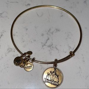 Alex and Ani Disneyland bracelet